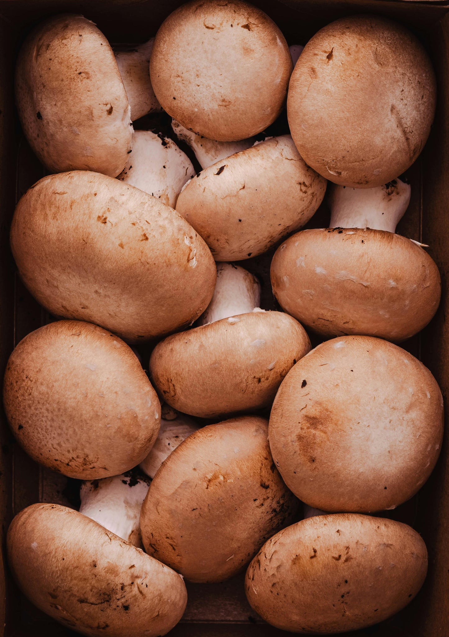 Battered Whole Mushrooms 3/2 lb bags