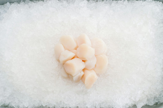 Premium Sea Scallops | 2 x 5 lb Bags | 10 lb Pack