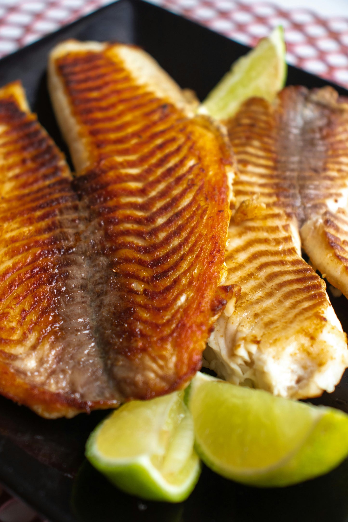 Catfish Fillets | 5-7oz IQF | Boneless Skinless | 15 lb Pack